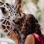 Mensch lehnt sich an eine Giraffe