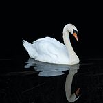 sich selbst reflektieren